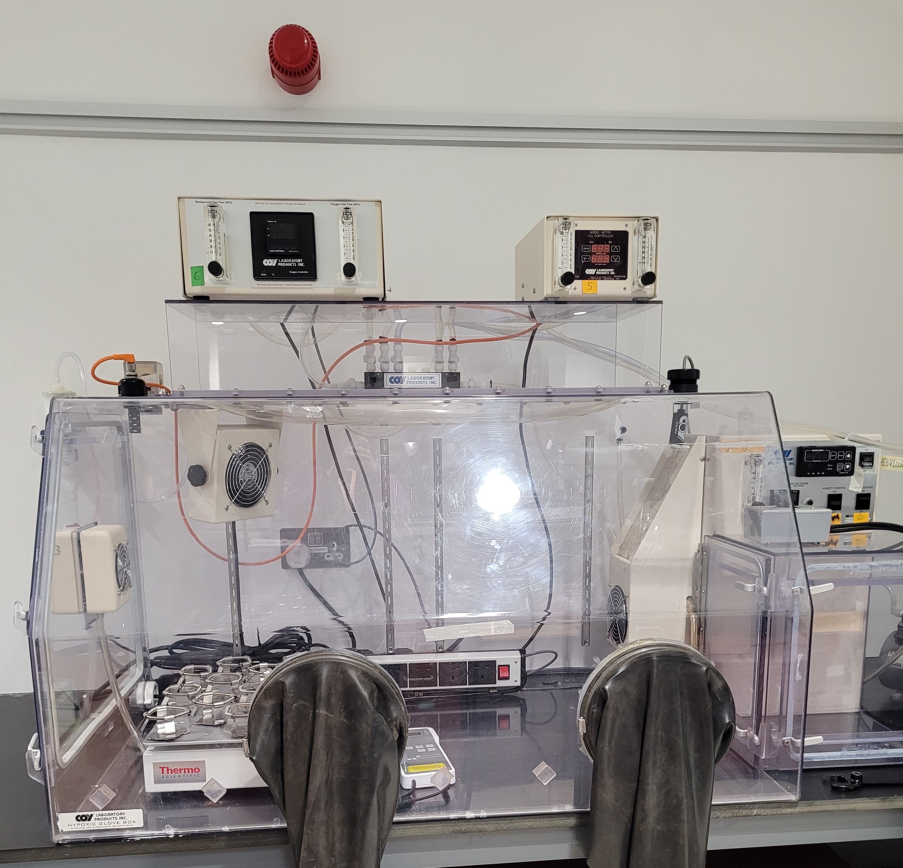 COY Hypoxia Chamber - Bacterial work [Imelda]